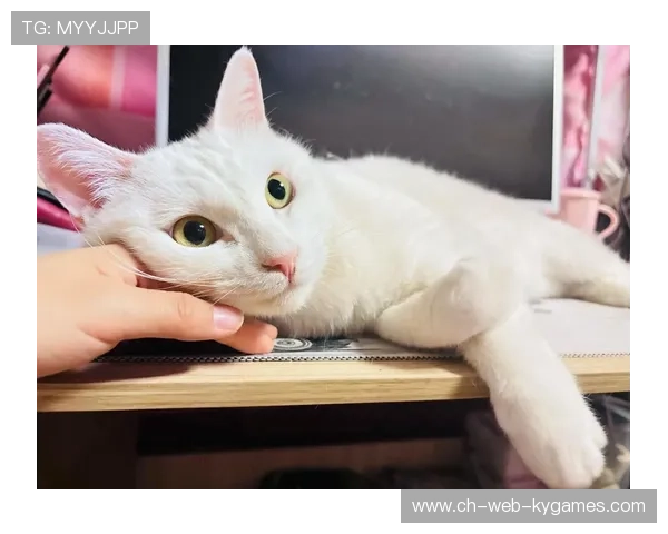 ÃÓ-ÛË­¢½ã¥Ê++Ã¥°+¦¦++¢¦ÕÀÔ+¬í¦+¦+¦Í«ðÃí¦